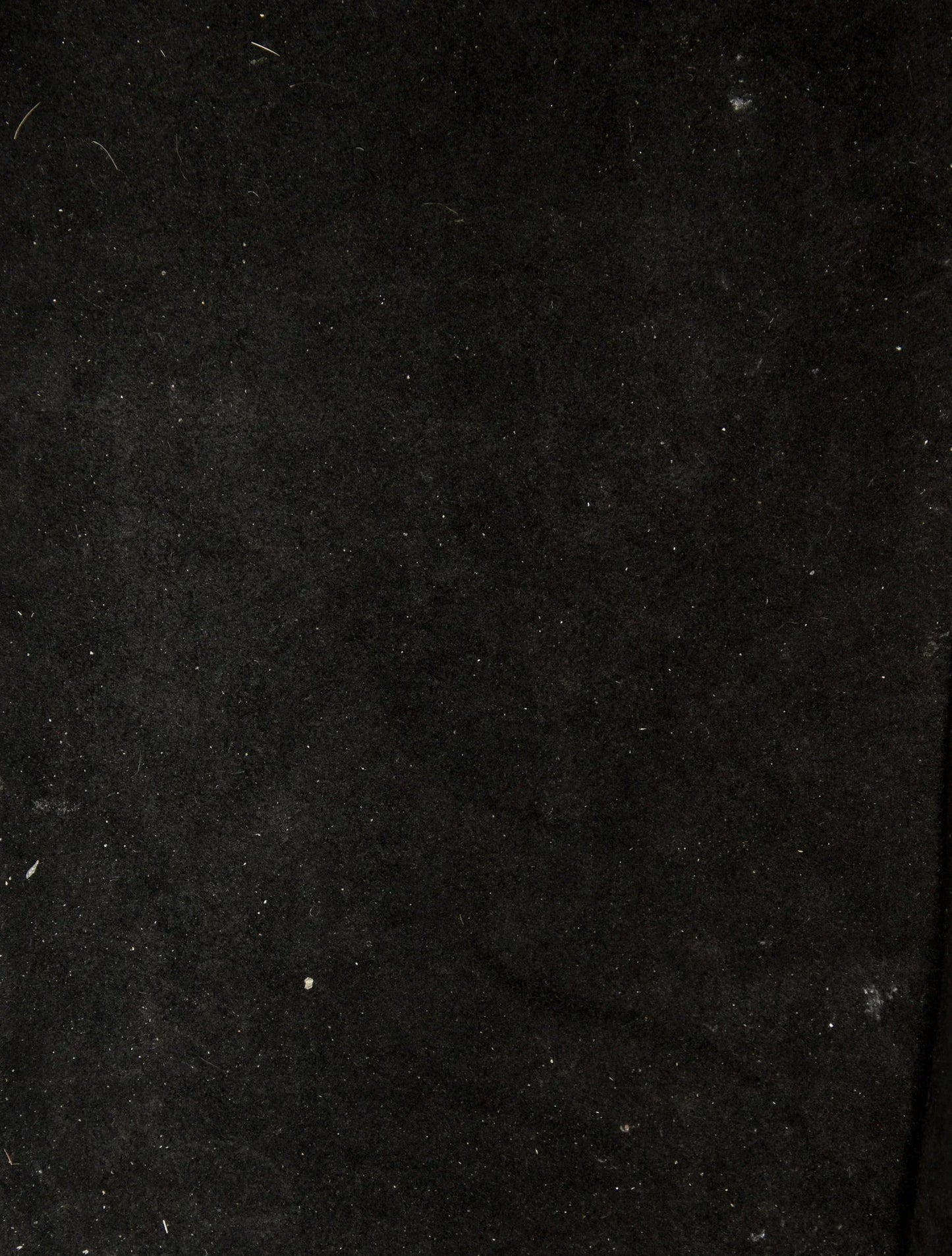 Monogram Giant Néonoé MM