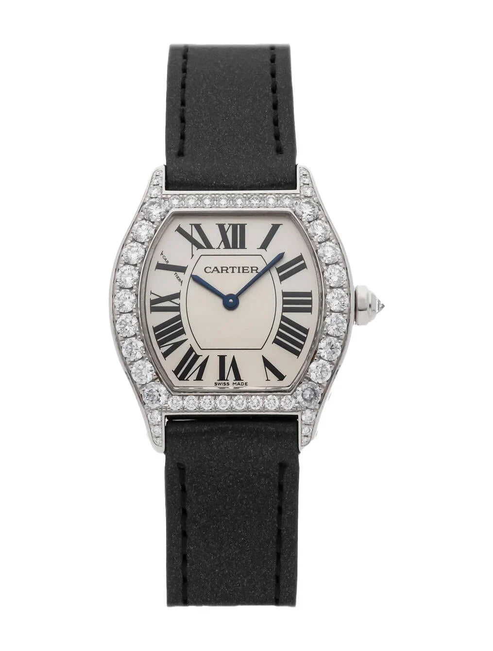 Tortue Watch