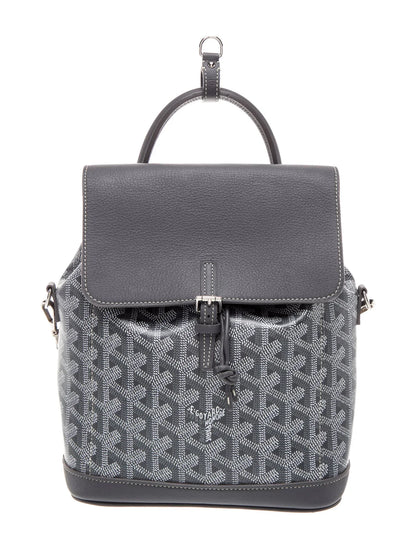 Goyardine Alpin Mini