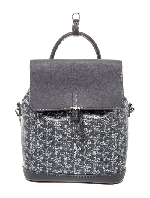 Goyardine Alpin Mini