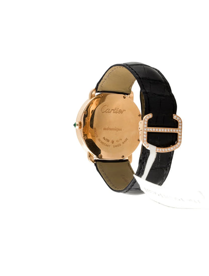 Révélation d'une Panthère Watch