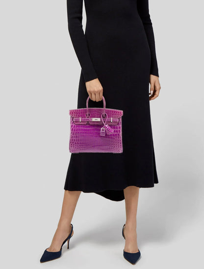 Birkin 25 de cocodrilo del Nilo