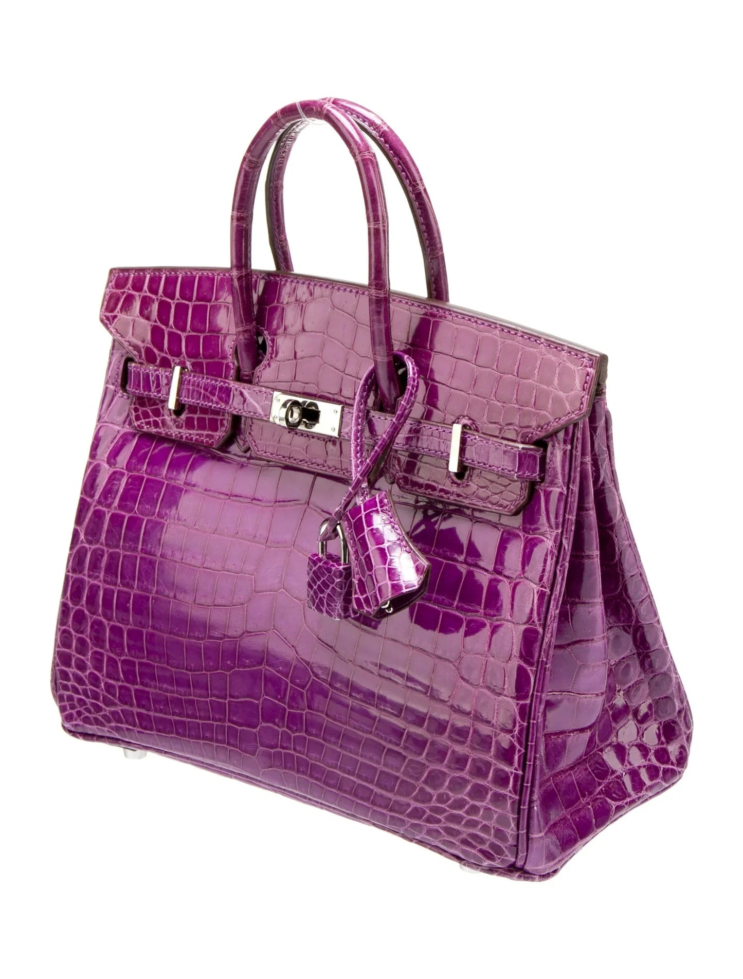 Birkin 25 de cocodrilo del Nilo