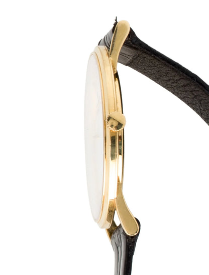 Portofino Watch