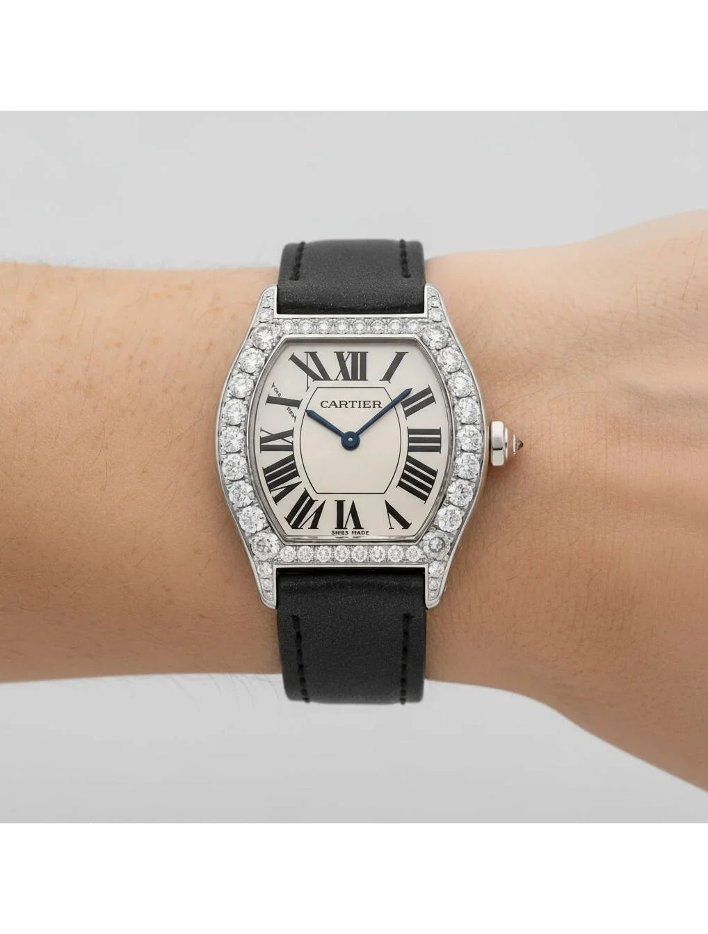 Tortue Watch