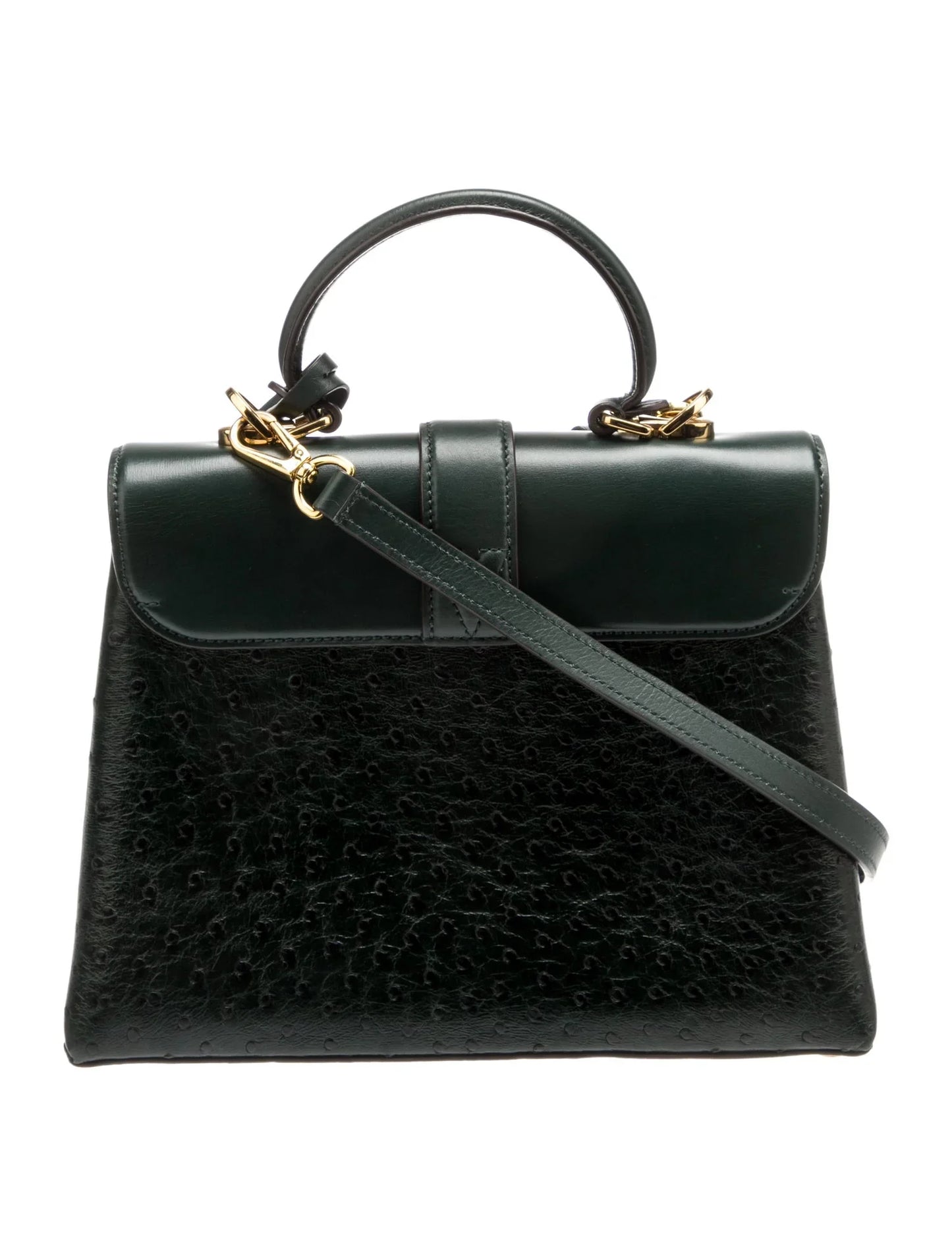 Autruche Rose Des Vents PM