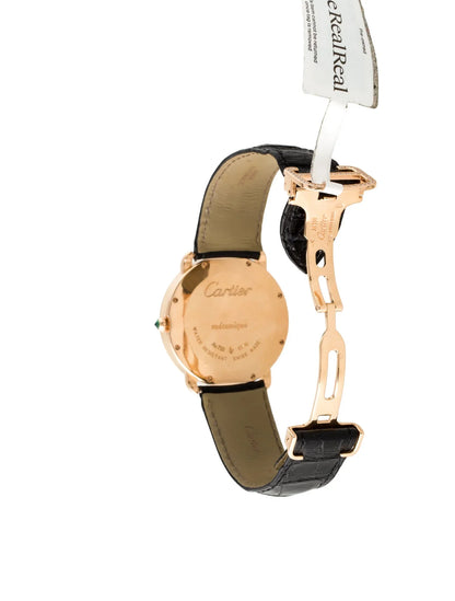 Révélation d'une Panthère Watch