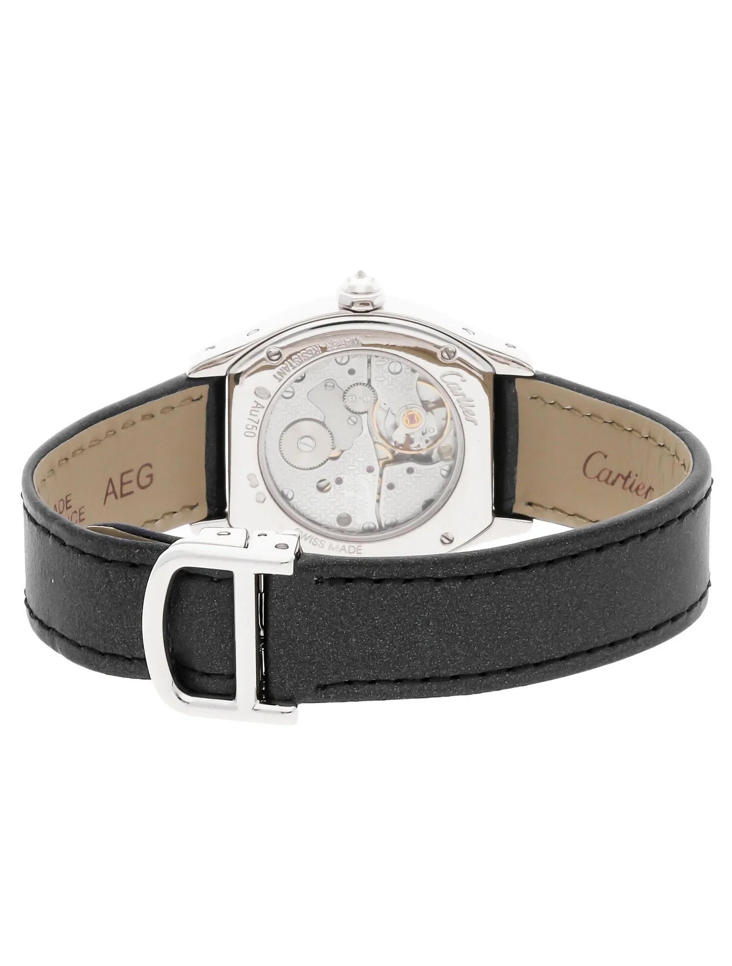 Tortue Watch