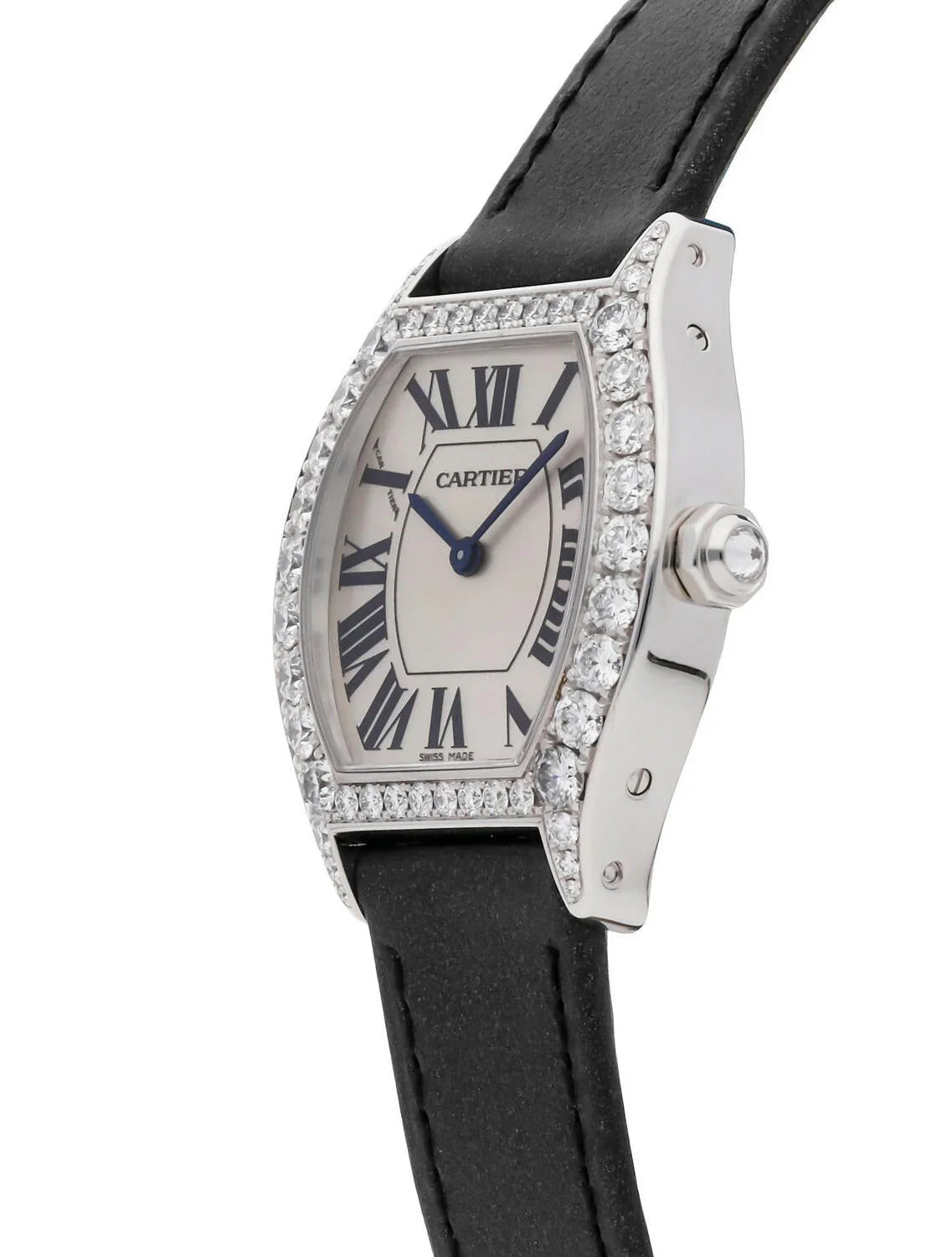 Tortue Watch