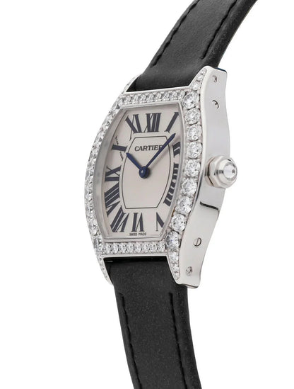 Tortue Watch