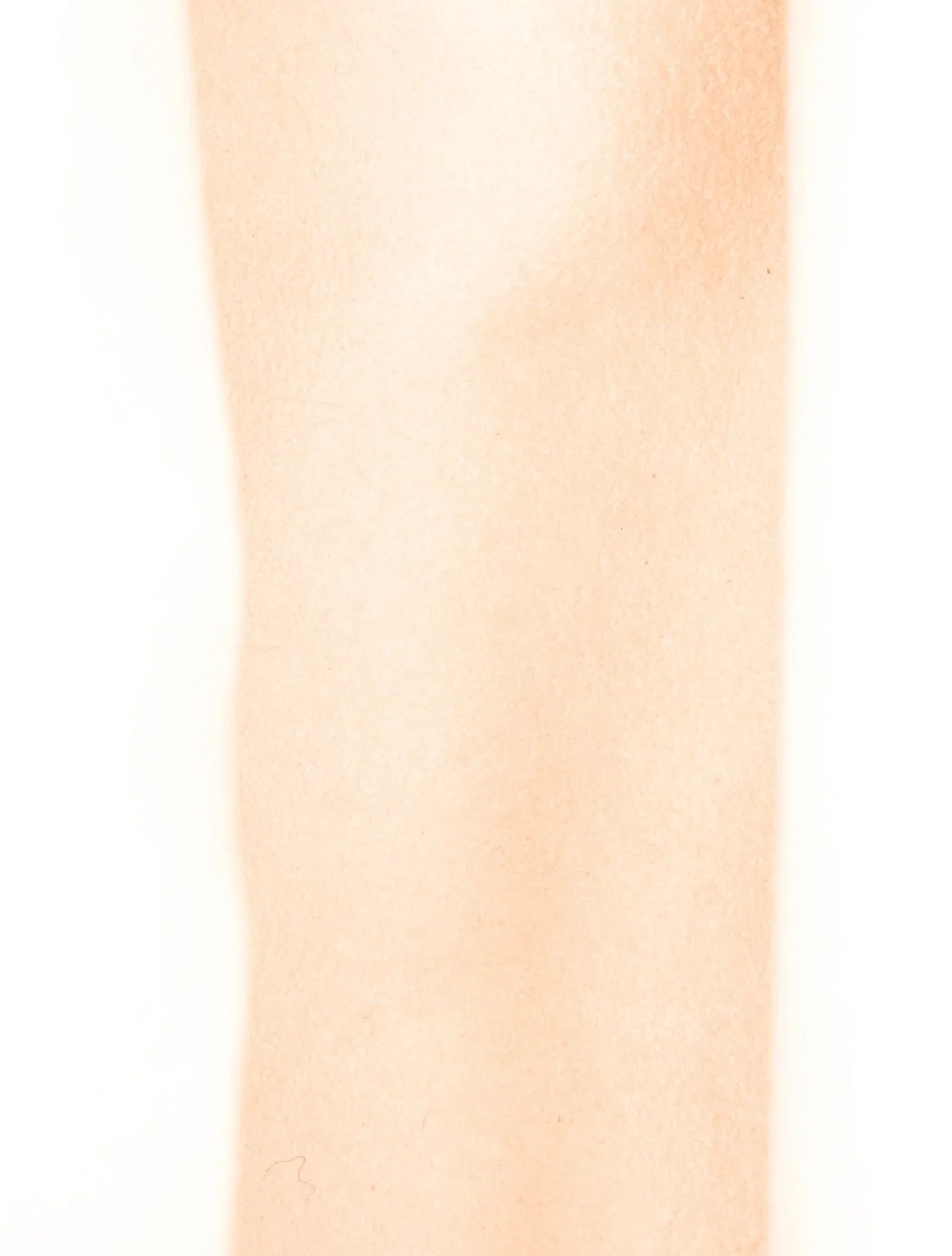 Multicolore Monogram Takashi Murakami Venise 2025