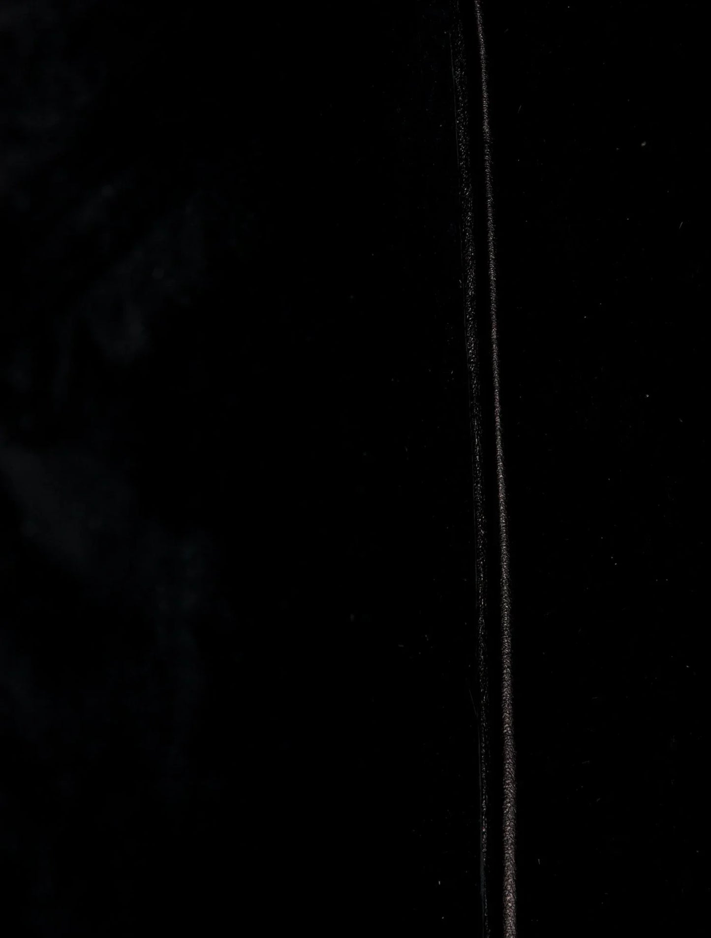 Piel de ternera París VII Grande 2022