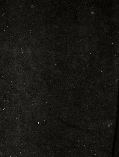 Monogram Giant Néonoé MM