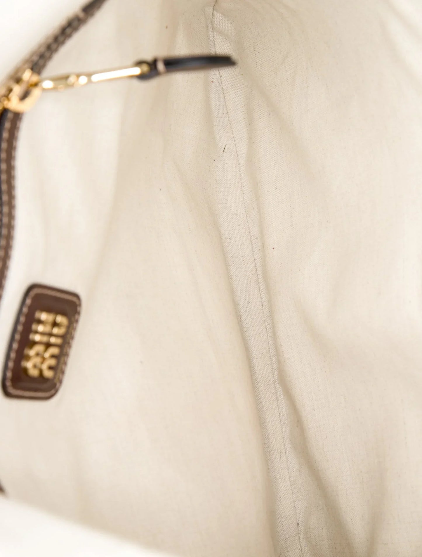 Hiedra de cuero 2024