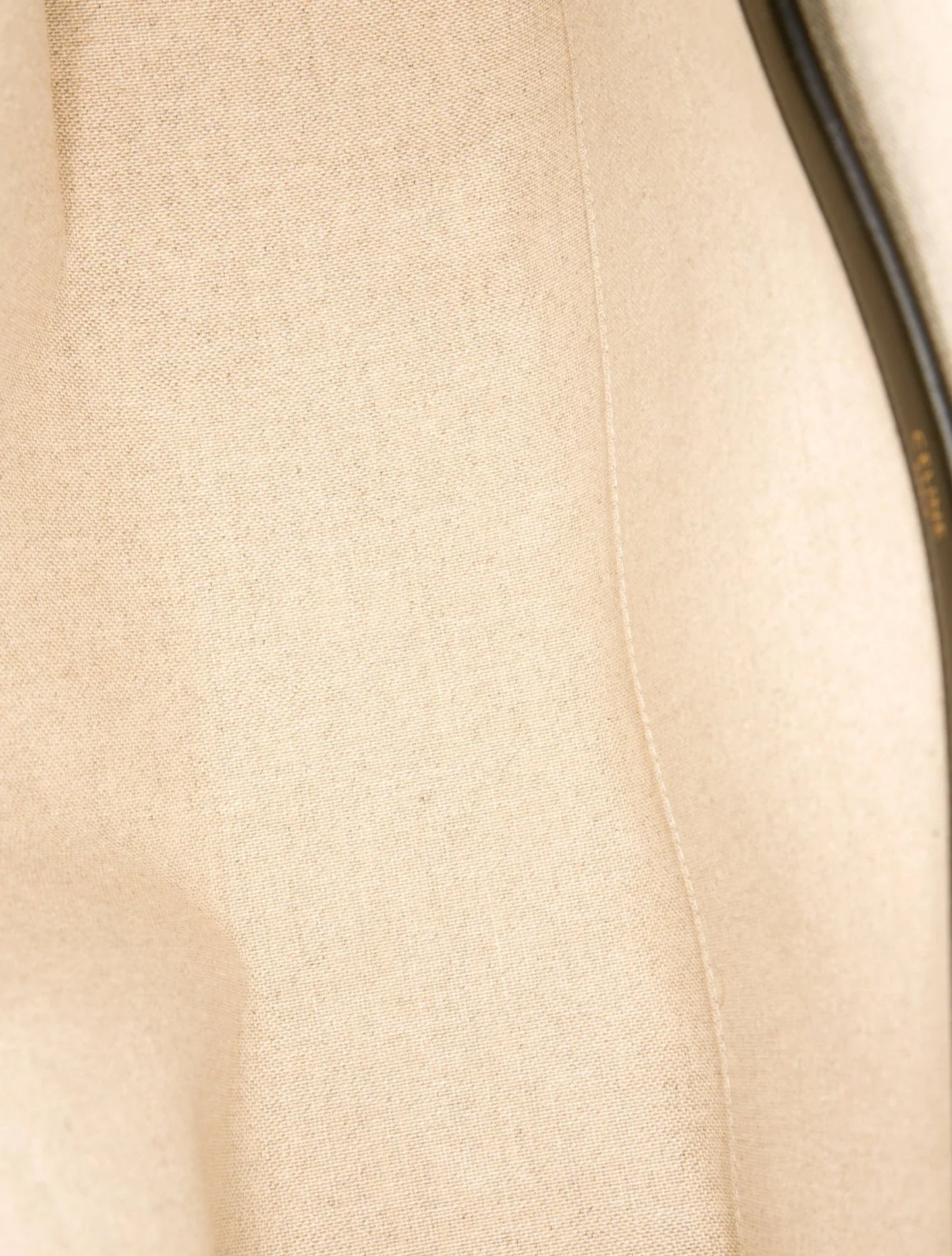 Triomphe Horizontal Cabas Tote Bag Mini 2022