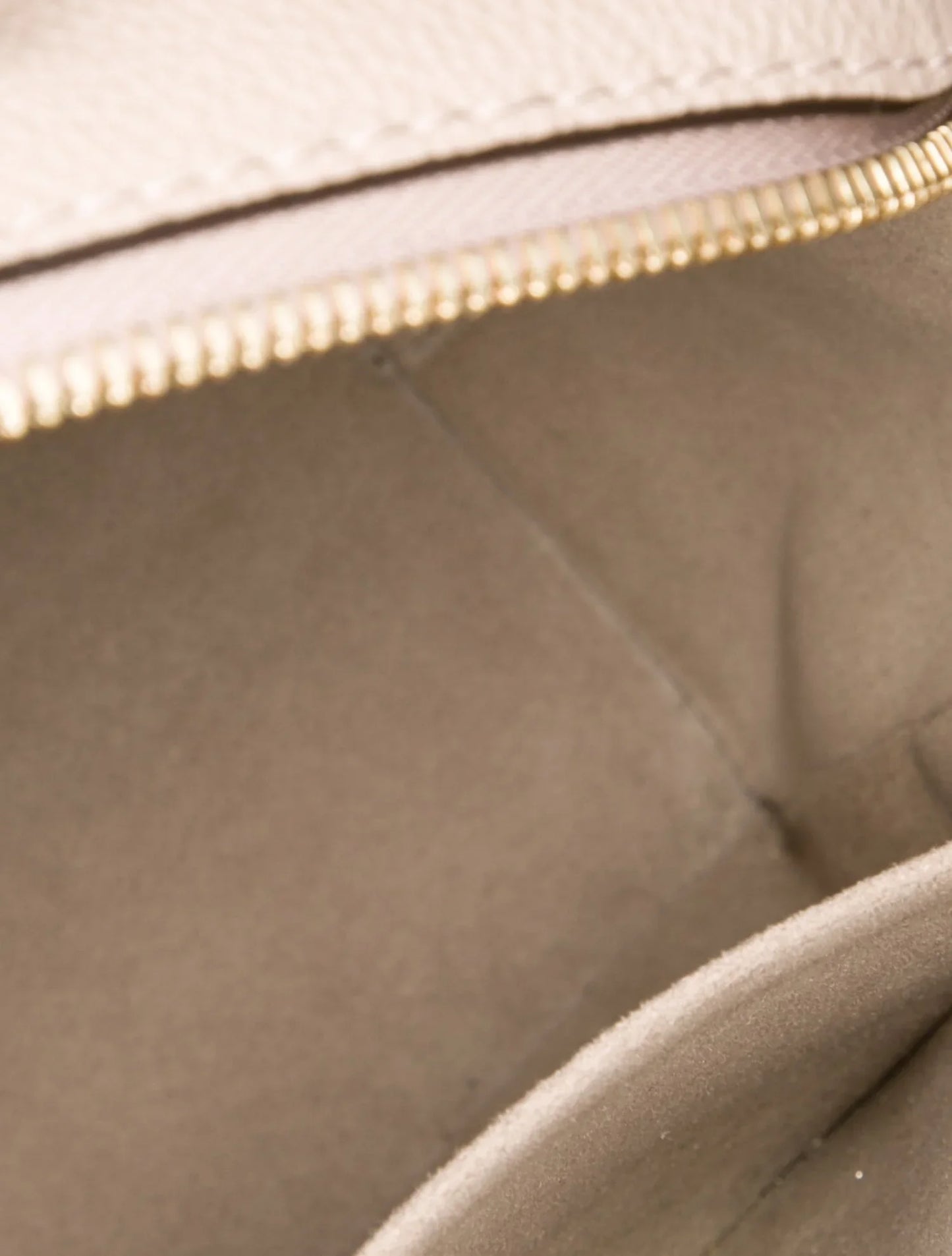 Speedy Bandoulière 25 Monogram Giant