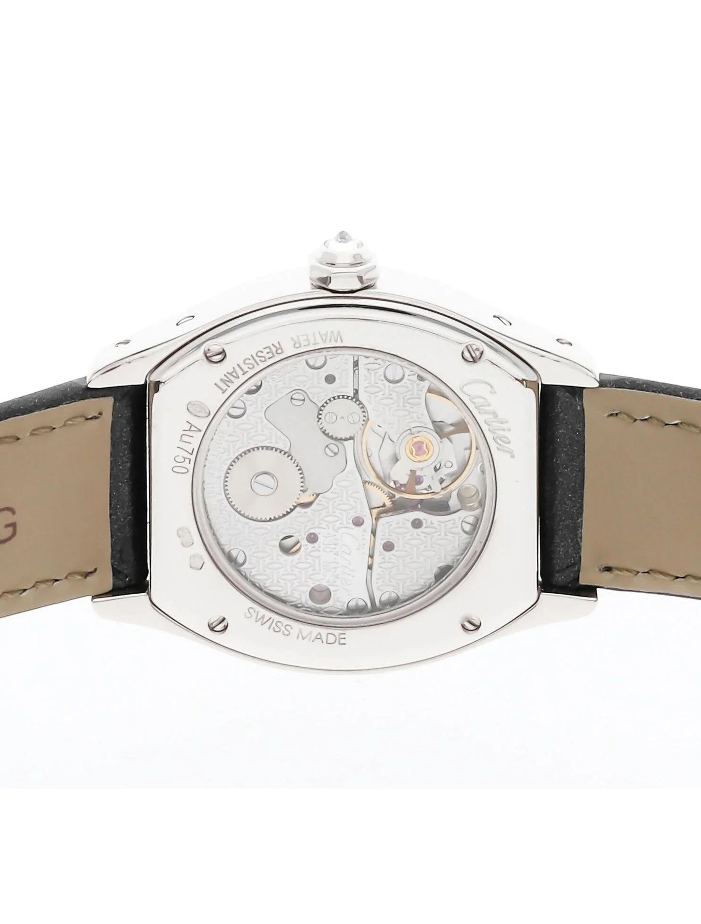 Tortue Watch