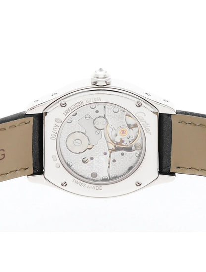 Tortue Watch