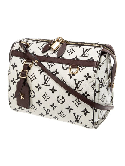 LV Monogram Speedy Amazon PM