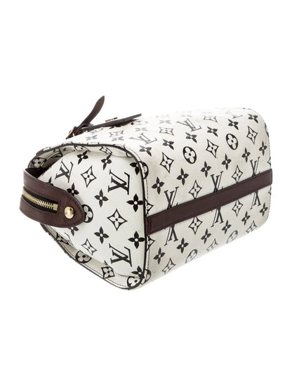 LV Monogram Speedy Amazon PM